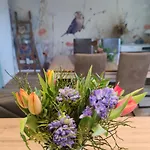 Kirsch * Blankenhain